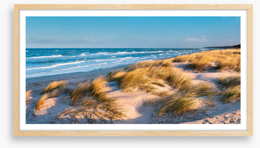 Windswept bay