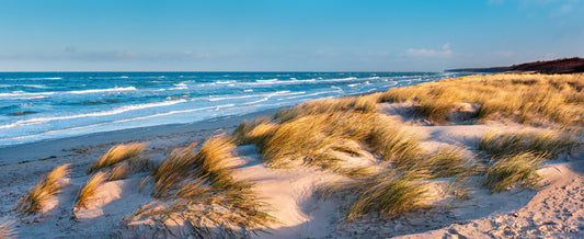 Windswept bay