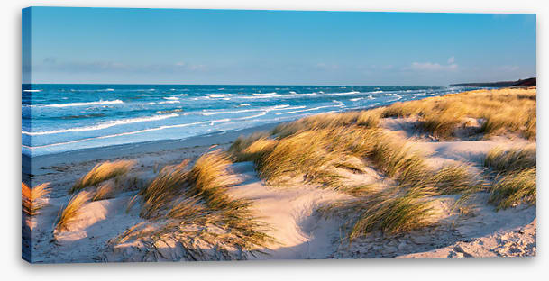 Windswept bay