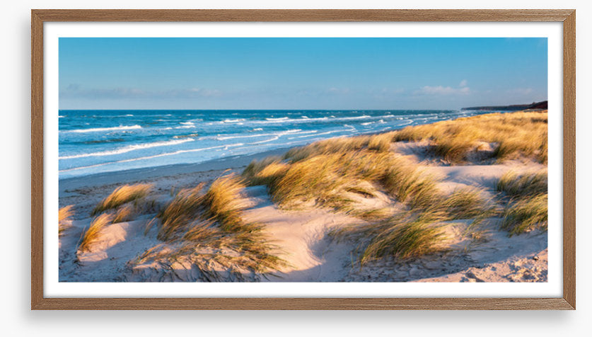 Windswept bay