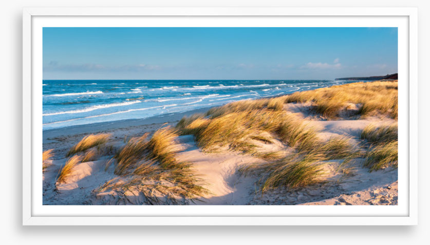 Windswept bay