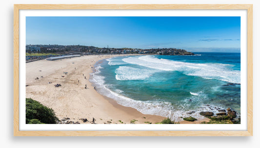 Bondi bay blues