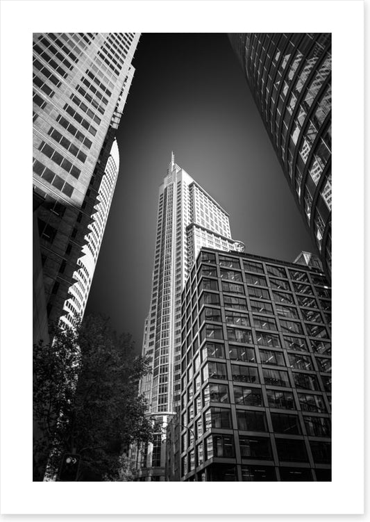 Sydney shadows 3
