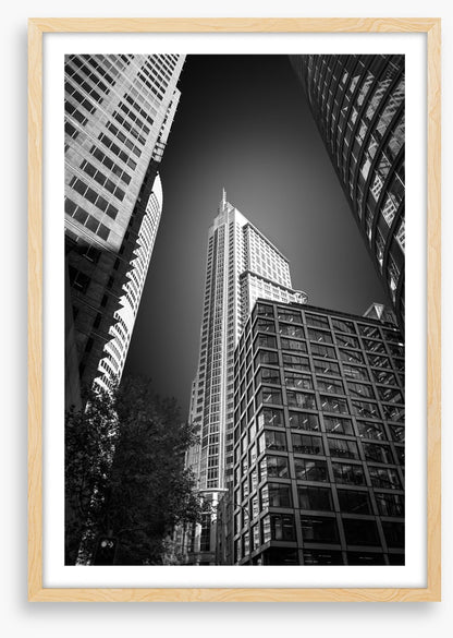 Sydney shadows 3