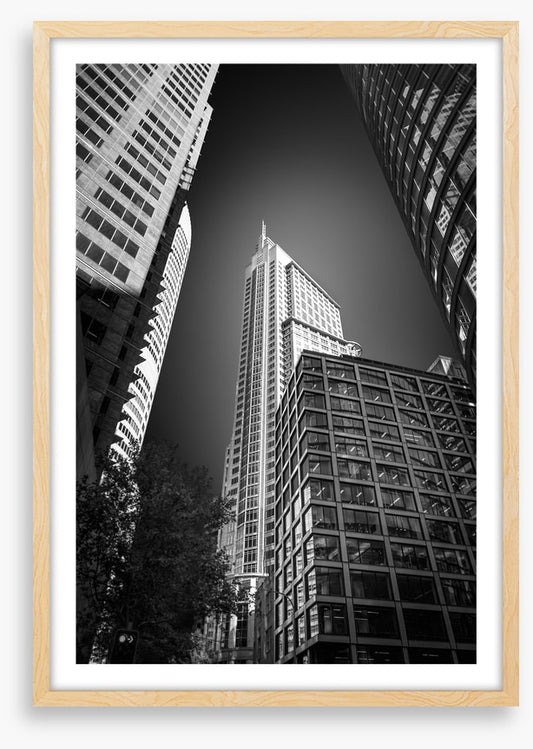 Sydney shadows 3