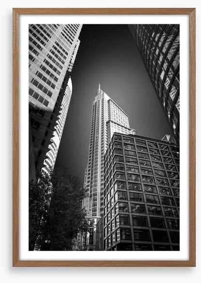 Sydney shadows 3
