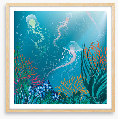 Jelly trio
