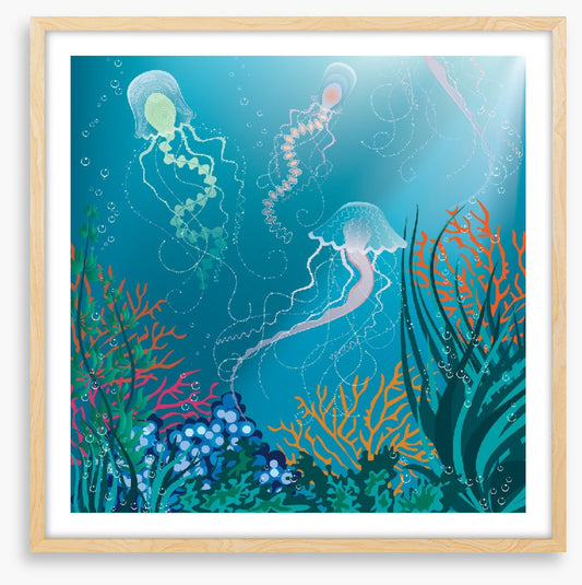 Jelly trio