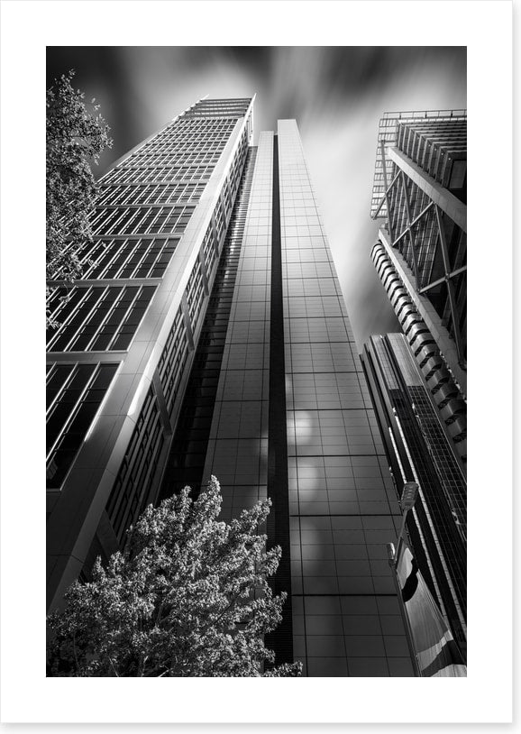 Sydney shadows 1