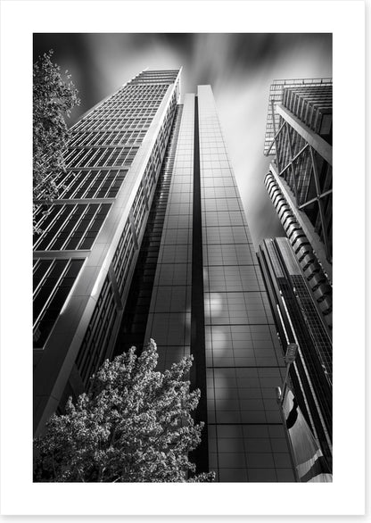 Sydney shadows 1