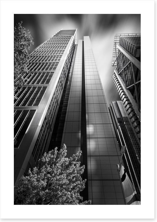 Sydney shadows 1