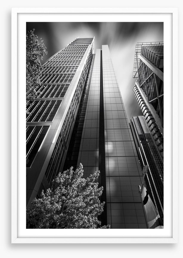 Sydney shadows 1