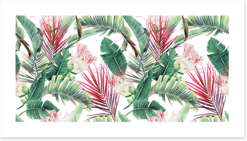 Fuchsia foliage