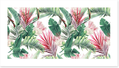 Fuchsia foliage