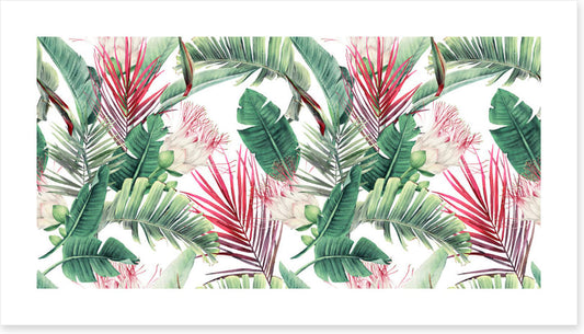 Fuchsia foliage