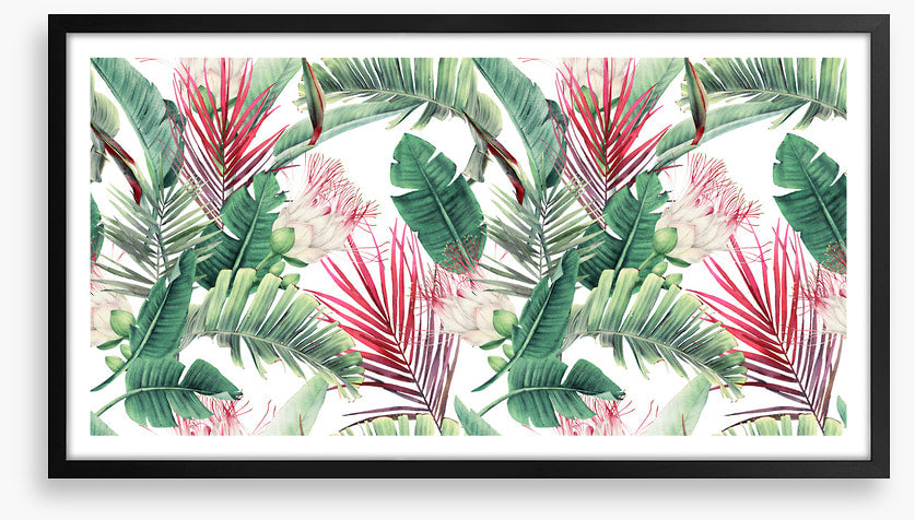 Fuchsia foliage