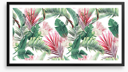 Fuchsia foliage