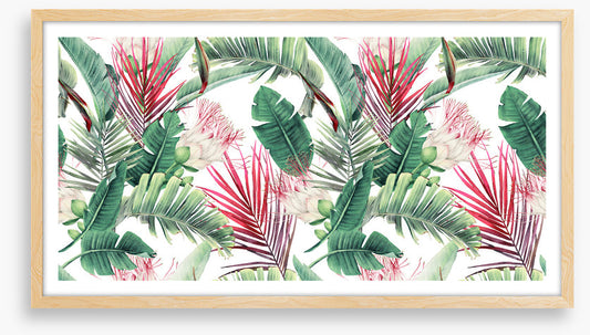 Fuchsia foliage