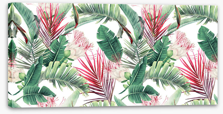 Fuchsia foliage