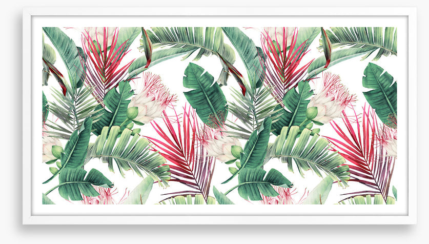 Fuchsia foliage