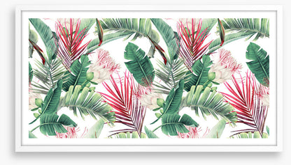 Fuchsia foliage