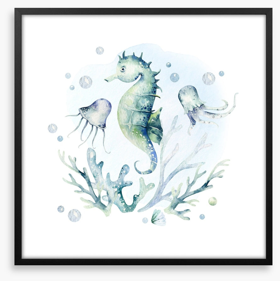 Softly softly seahorse