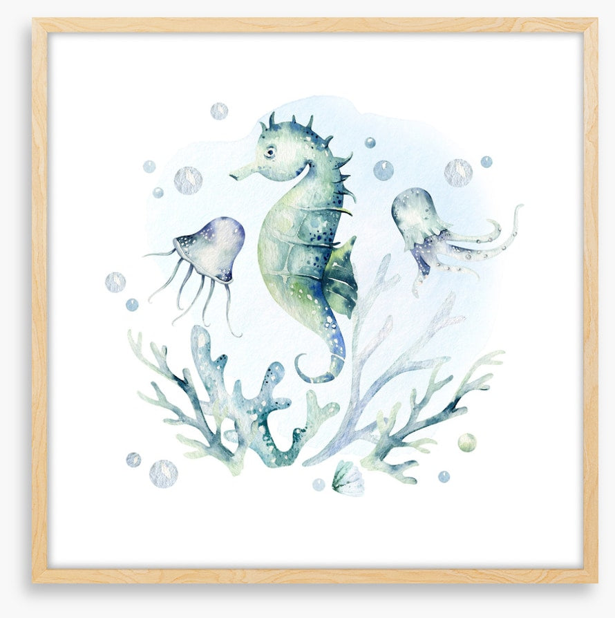 Softly softly seahorse