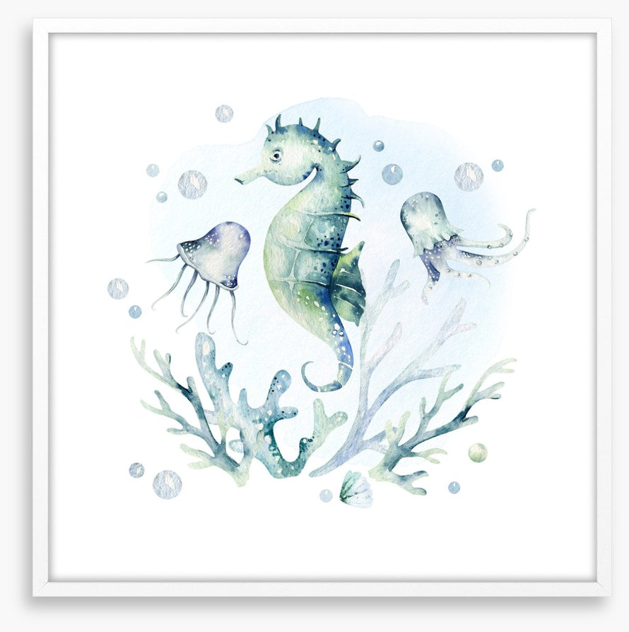 Softly softly seahorse