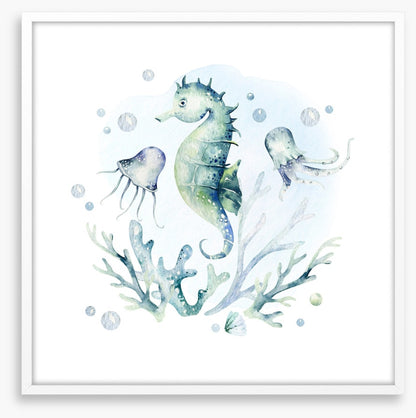 Softly softly seahorse