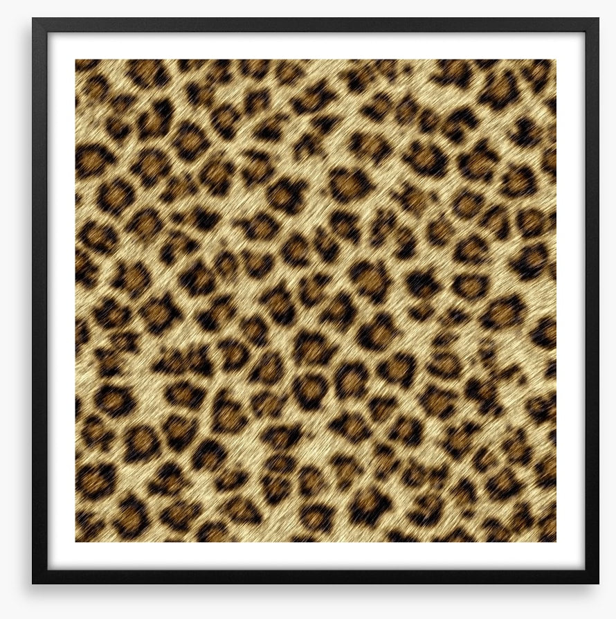 Animal Print