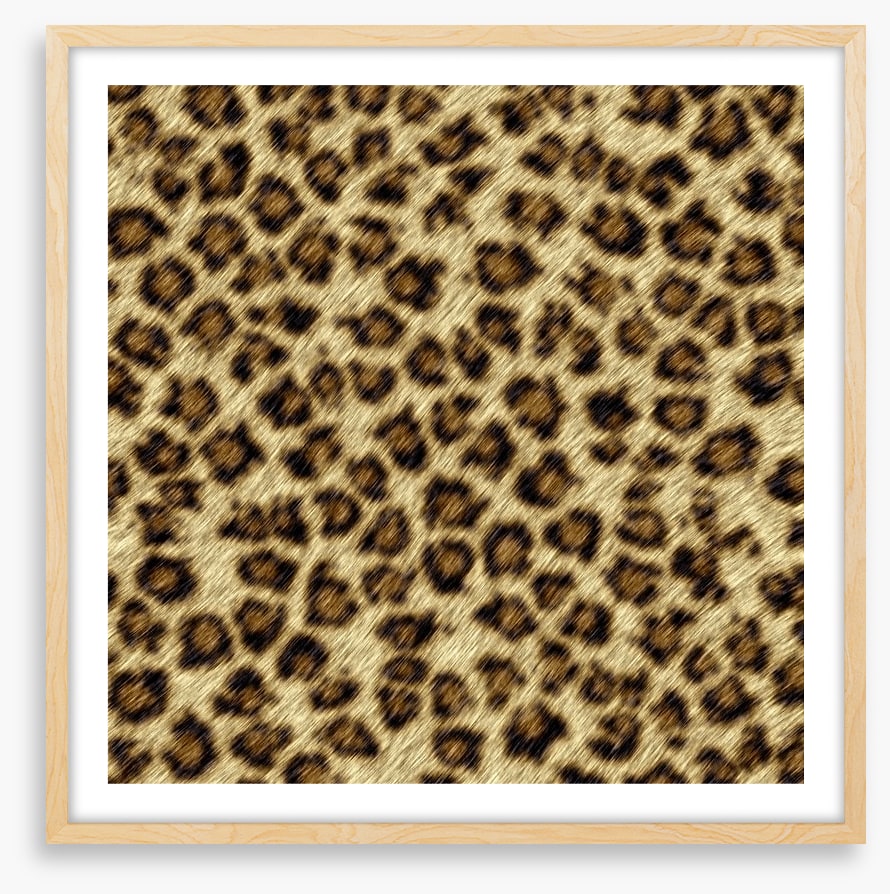 Animal Print