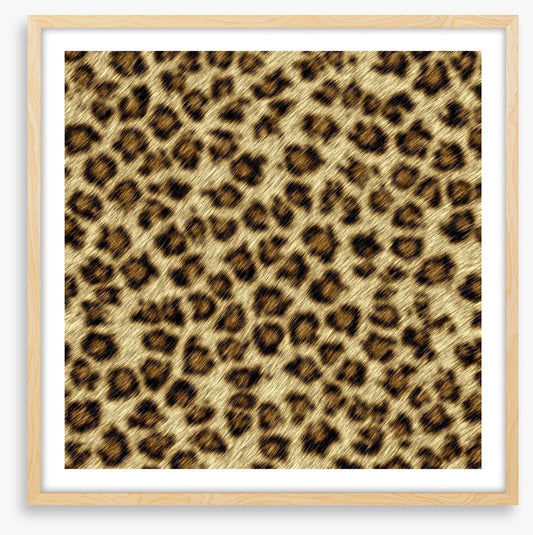 Animal Print