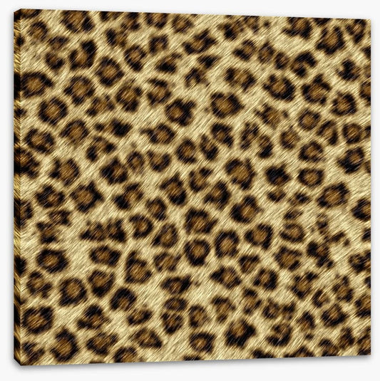 Animal Print