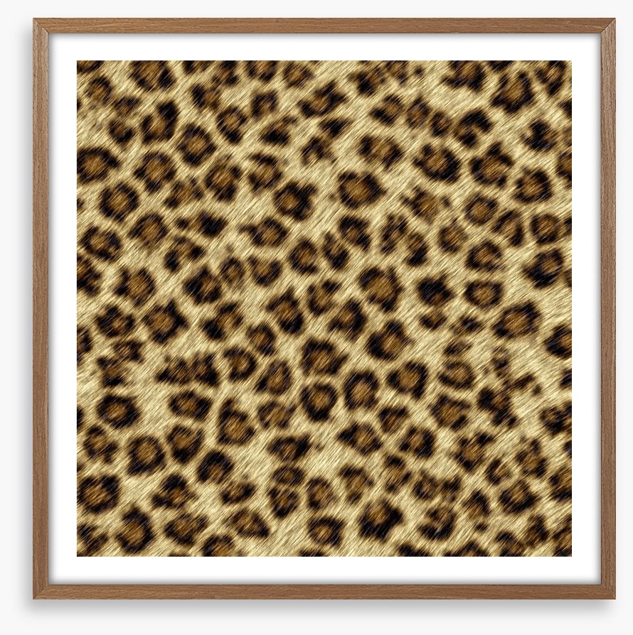 Animal Print