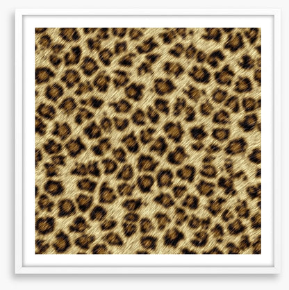 Animal Print