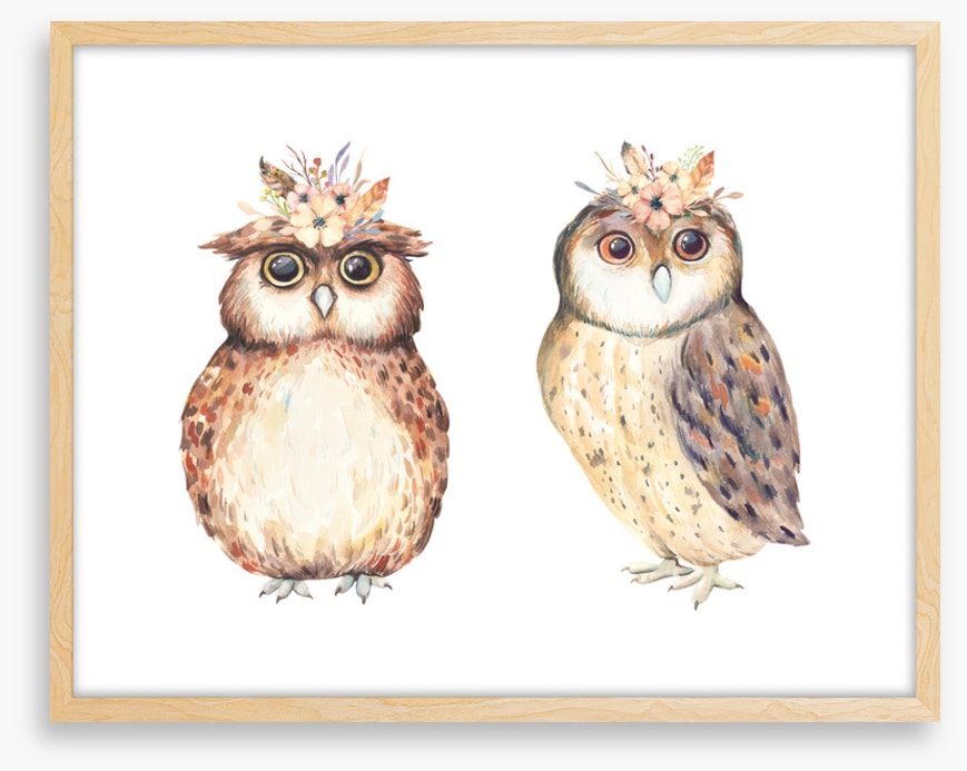 Owls