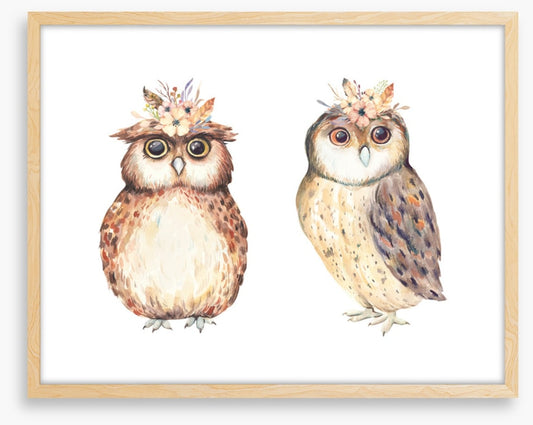 Owls