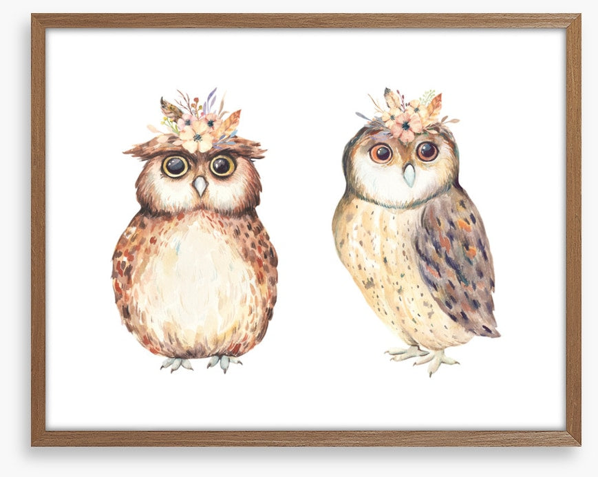 Owls