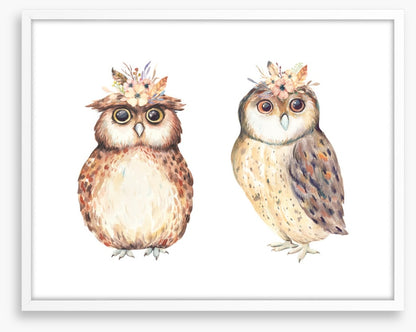 Owls