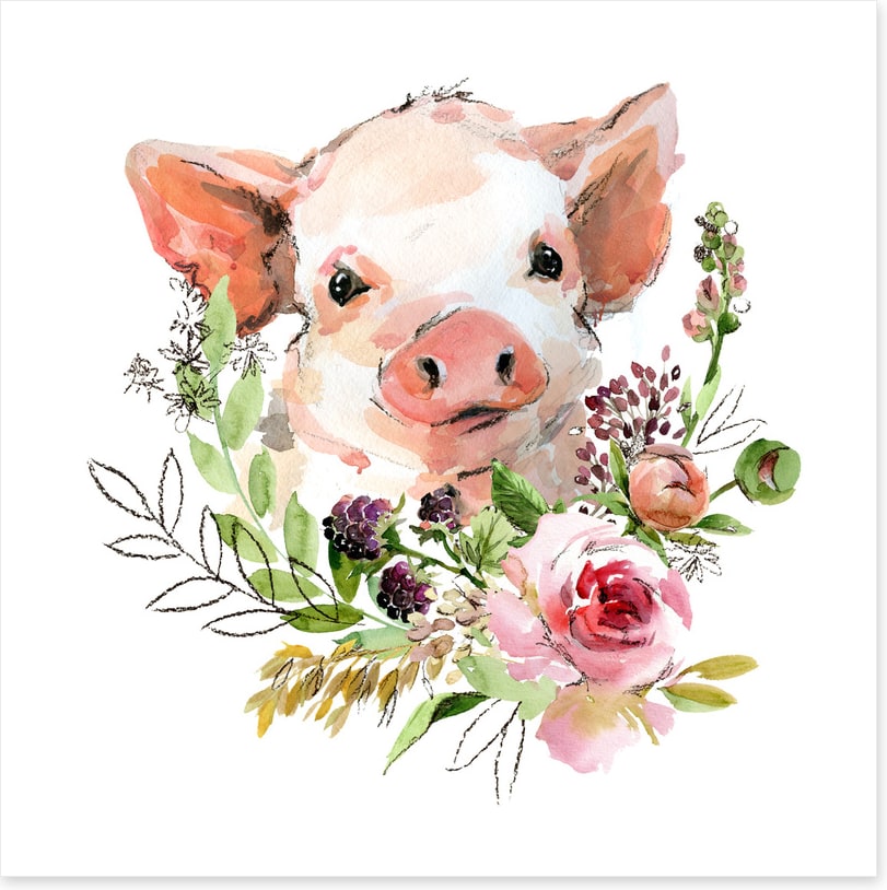 Rosy the pig