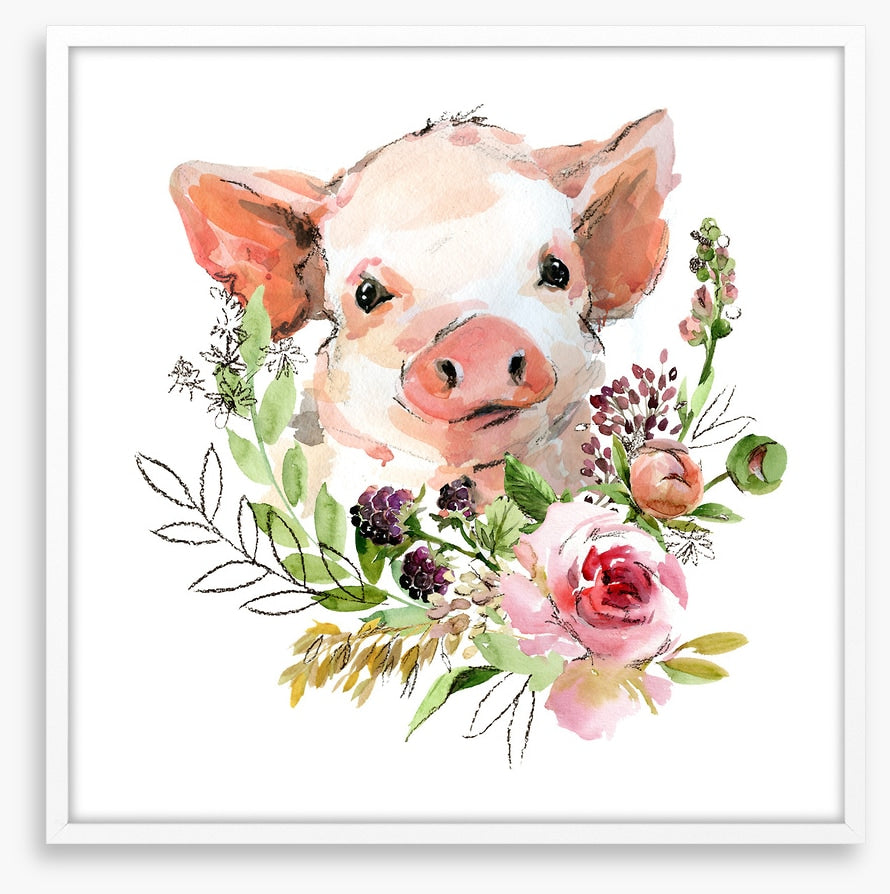 Rosy the pig