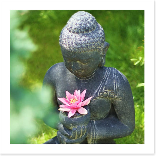 Pink lily buddha
