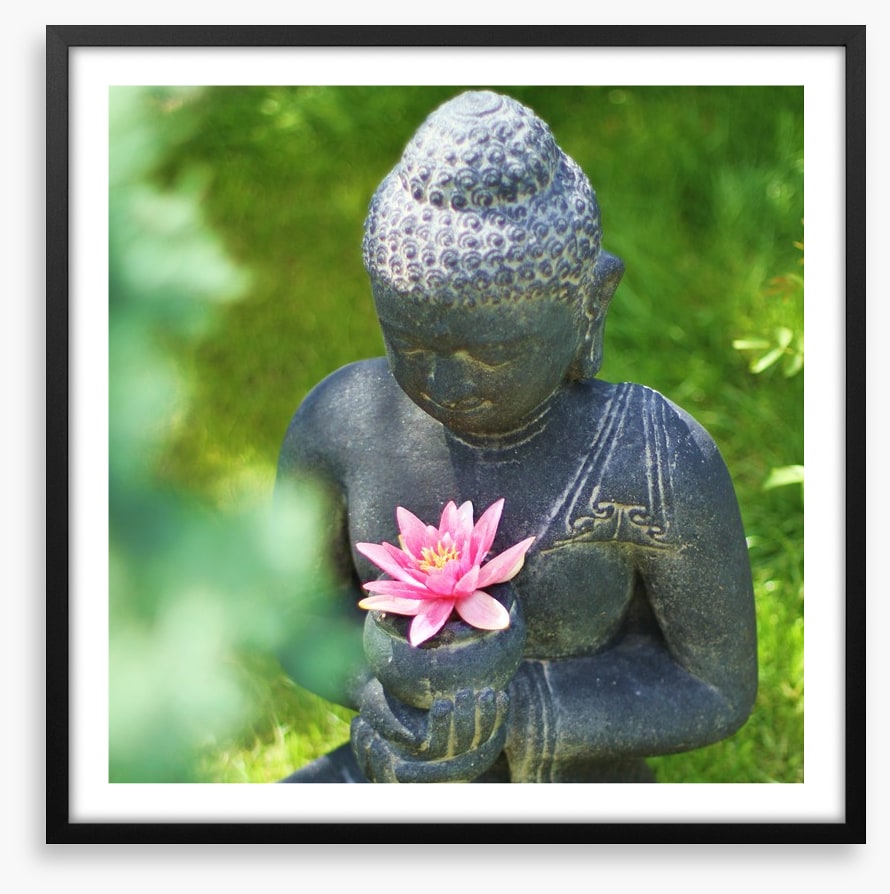 Pink lily buddha