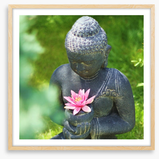 Pink lily buddha