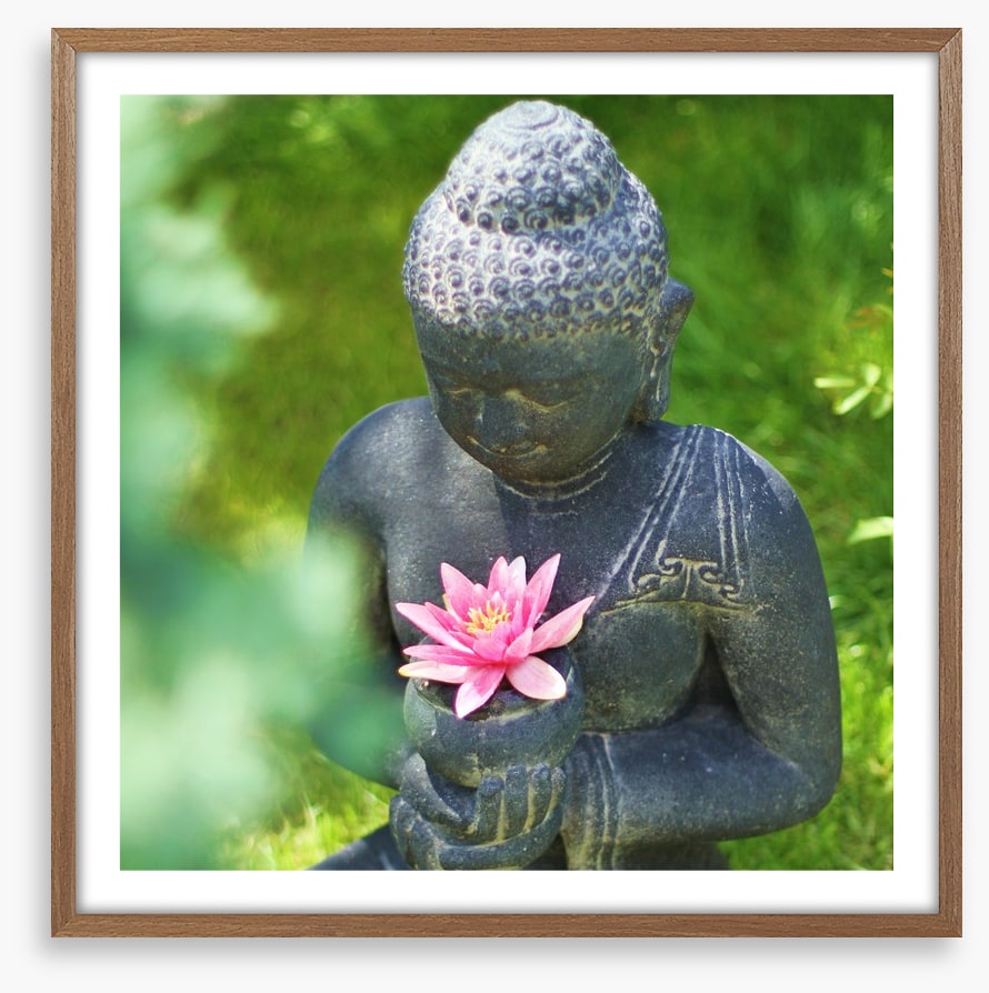 Pink lily buddha