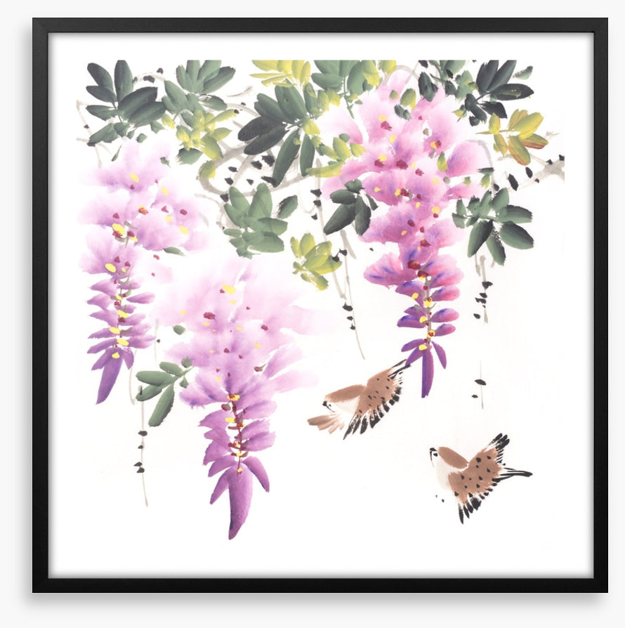 Little wisteria birds