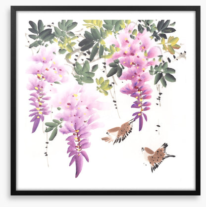 Little wisteria birds