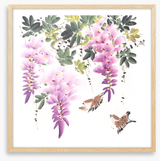 Little wisteria birds