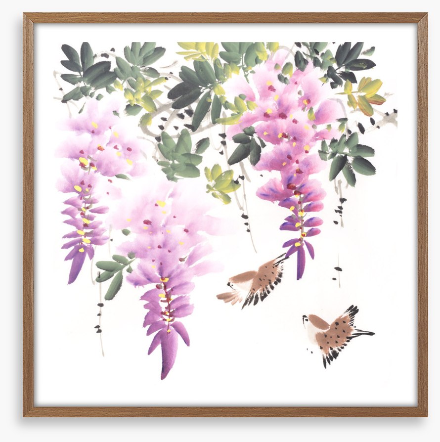 Little wisteria birds