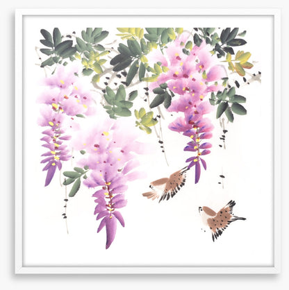 Little wisteria birds